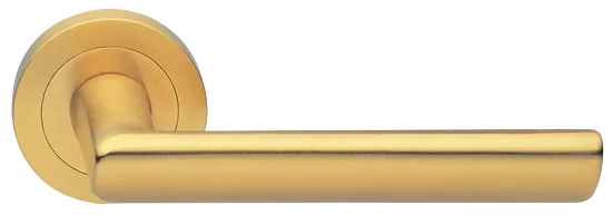 STELLA R2 OSA, ручка дверная, цвет - матовое золото фото купить Ростов-на-Дону
